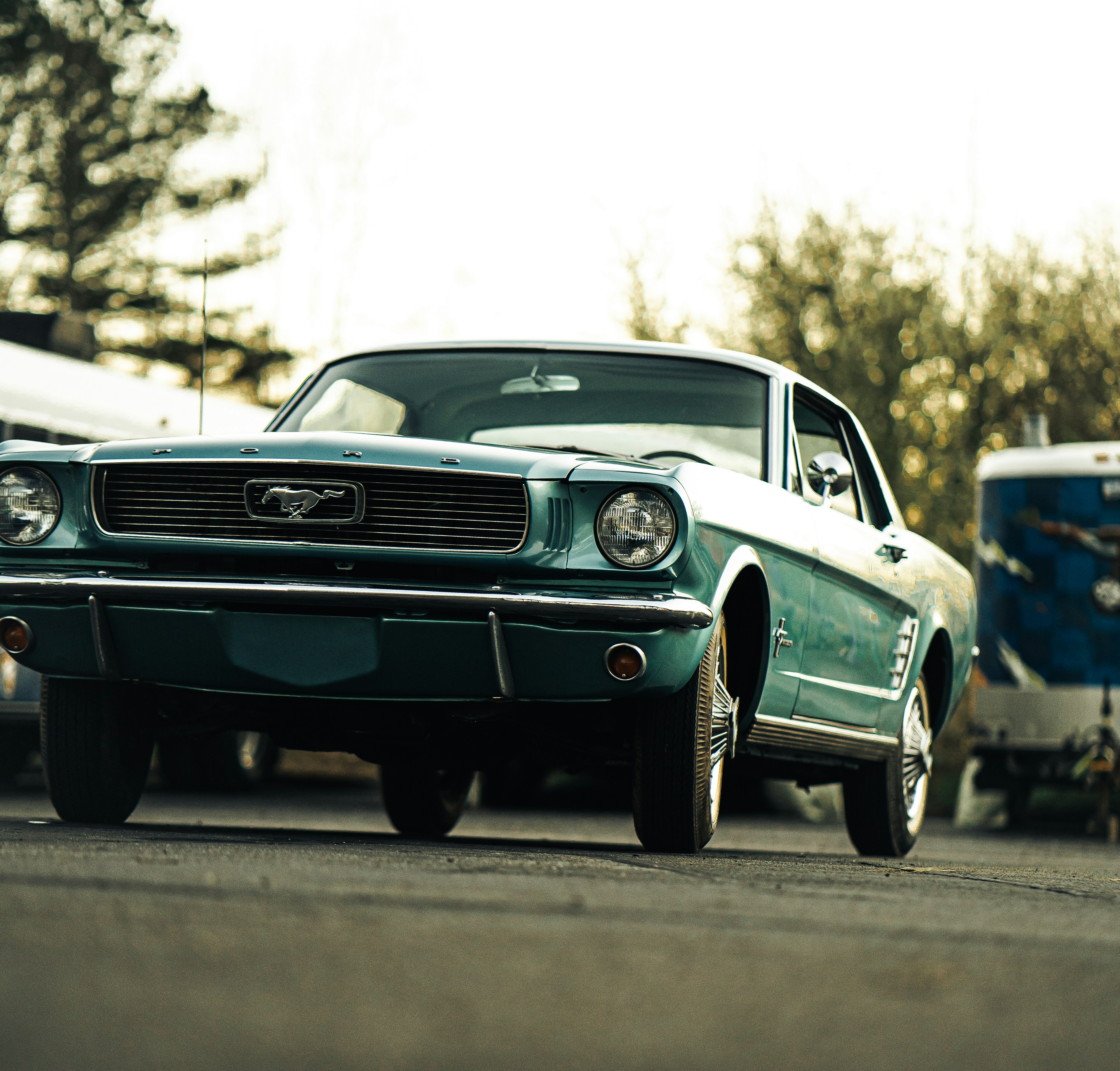 A blue Ford Mustang.